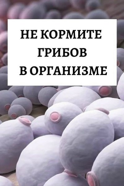 �� ������� ������ � ���������. ����� � ��� ������ �����������, ��� ���� ����� �������, ����������� ...