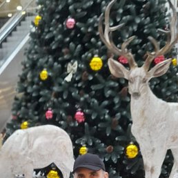 ���������, 45 ���, ���������