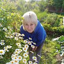 ���� ����������, �����������, 43 ���� - ��������� 2 ����� 2026