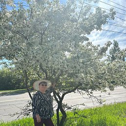 ����, �������, 56 ���