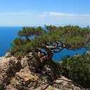 ���� ��������, ���������, 54 ���� - ��������� 14 ��� 2025 � ������ �����.�