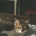 ���� .��������� 333, �����, 48 ��� - ��������� 2 ������� 2025 � ������ ������ ��������