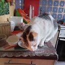 ���� ����, �����������, 47 ��� - ��������� 19 ���� 2025