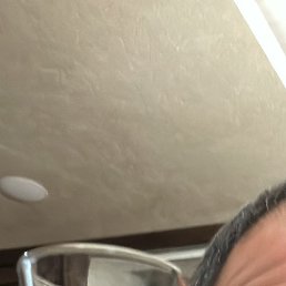 �����, ������, 40 ���