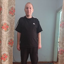 , 31, 