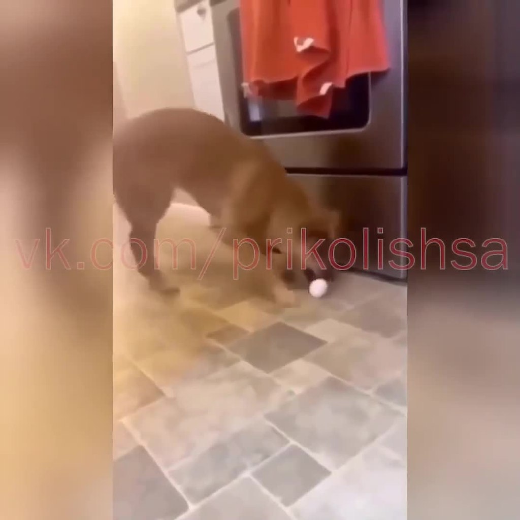 ���� ��� ��� ����� ��� ���� ��.. - 2