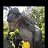  Dmitriy, , 38  -  9  2024
