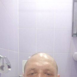 �����, �������, 46 ���