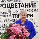 ���� ������, �����������, 65 ��� - ��������� 3 ������ 2023 � ������ ���� ����������