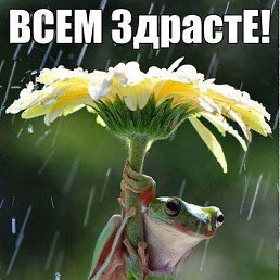 �����, �����-���������, 25 ���