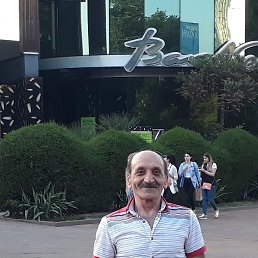 , 66 , 