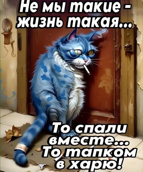   ! - 21  2025  11:29