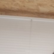 �����, 43 ����, ������