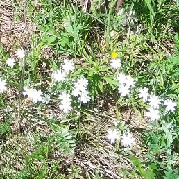 ���� ����, ������������, 45 ��� - ��������� 28 ���� 2024