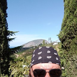 ����, 46 ���, ������