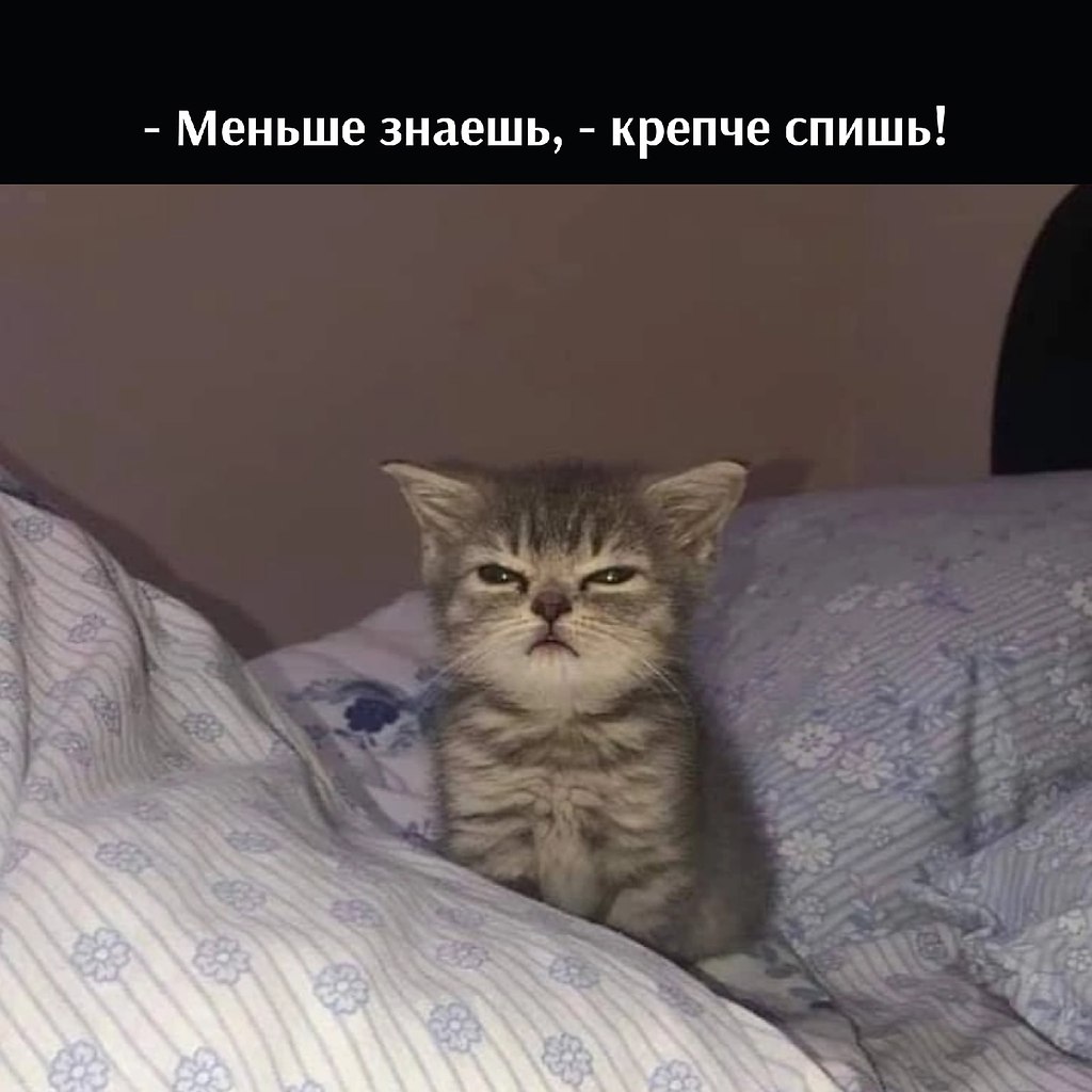       - 4  2025  23:48 - 4