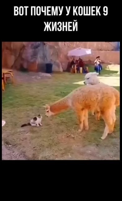 ������� � ��������� ������ - 2