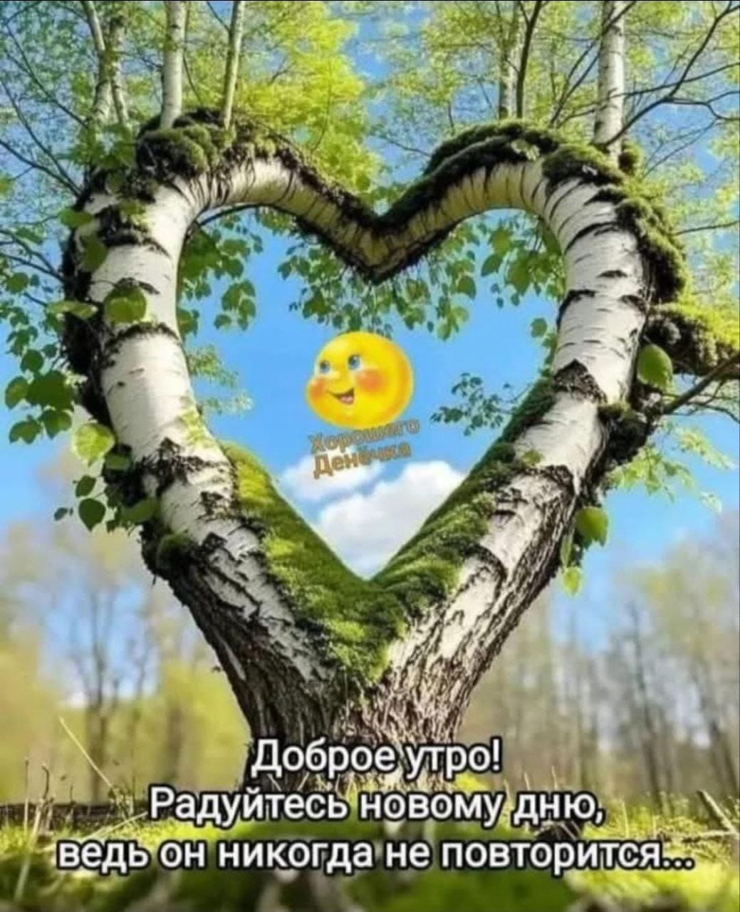***Victoria Viktorovna*** - 23  2025  03:53