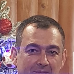 ����, 41 ���, ���������