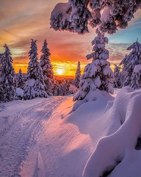 Как хорошо, что есть большие рядом, А я, как птаха Божия, мала, Что даже думать ни о чём не надо И ... - 5