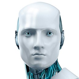 �����, ������, 44 ����