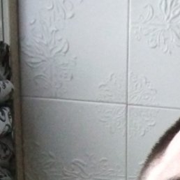 , , 31 