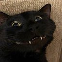 ���� ��������, ����������, 39 ��� - ��������� 26 ���� 2024 � ������ ���� ����������