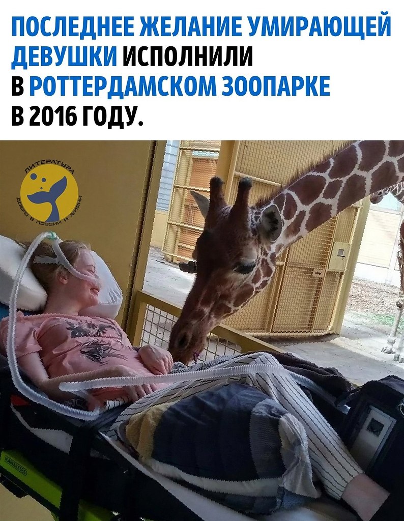 ����� ������� 26-������ ������� ������� ������� ������, �������� ������� � �������. ������� ...