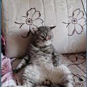 ���� ������, �����, 69 ��� - ��������� 3 ������� 2025 � ������ ������ ��������