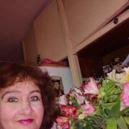 , 57, 