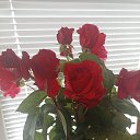 ���� �������, ����� - ��������� 22 ���� 2025 � ������ ���� ����������