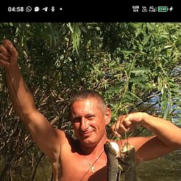 �������, 53 ����, ����������