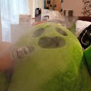 ���� ��������, �������, 26 ��� - ��������� 24 ���� 2024 � ������ ���� ����������