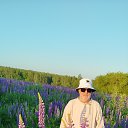 ���� �����, ������, 62 ���� - ��������� 24 ������� 2025 � ������ ���� ����������