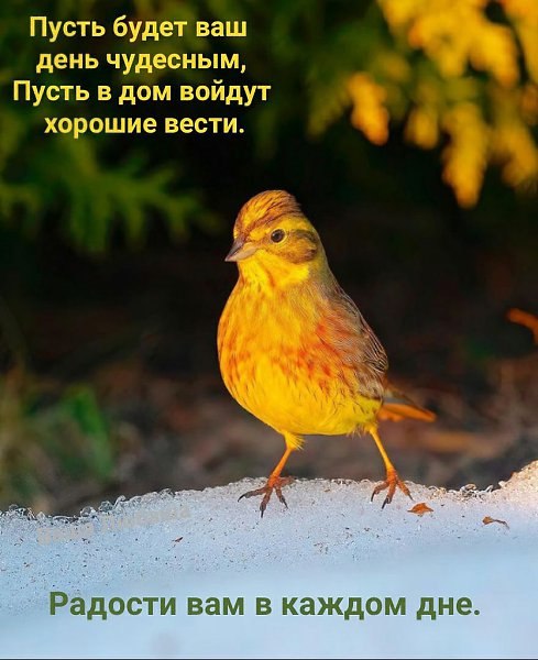   - 7  2025  17:22