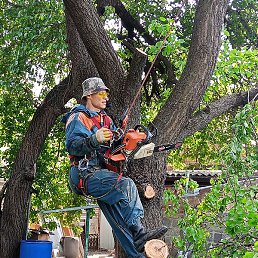 ��������, ������-��-����, 38 ���