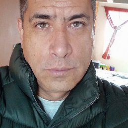 Albert, ���������, 36 ���