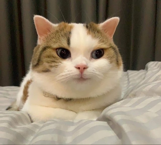 ---...       ?