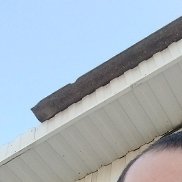 ������, 42 ����, ������