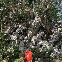 �����, ������������, 54 ����