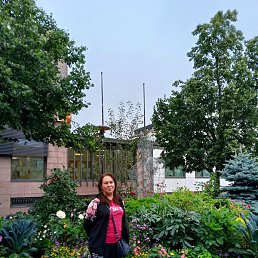 �����, ������������, 50 ���