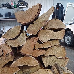 �, ������, 51 ���