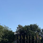 ������, 46 ���, �������