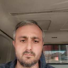 , 41, 