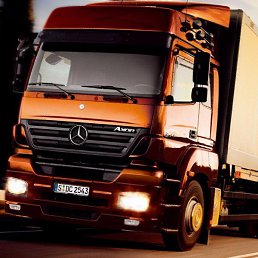 �����, �������, 38 ���