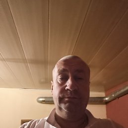 , 44, 