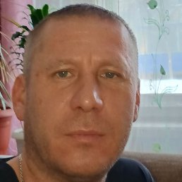 ����, ������������, 46 ���