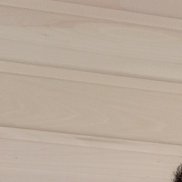 �����, 48 ���, ������