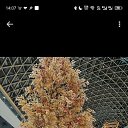 ���� ���, �����, 37 ��� - ��������� 16 ��� 2026 � ������ ���� ����������