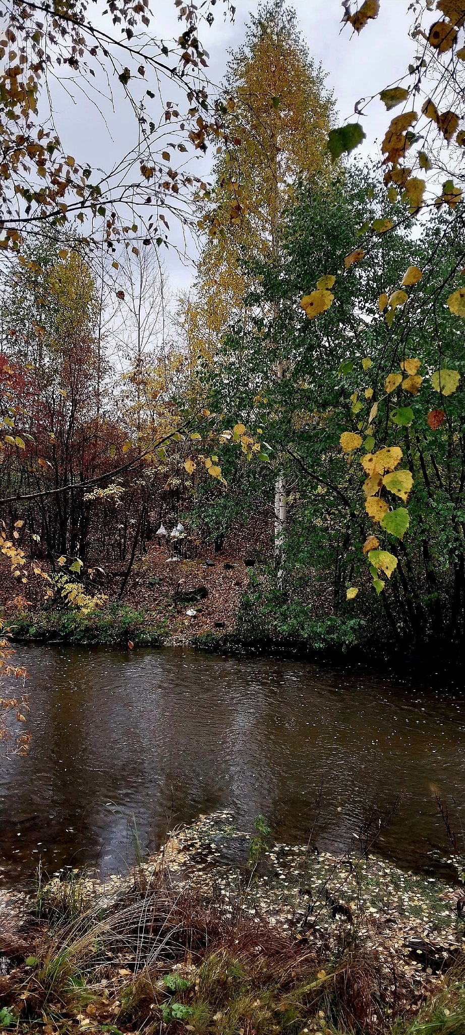 ���������, ���� �������... - 4